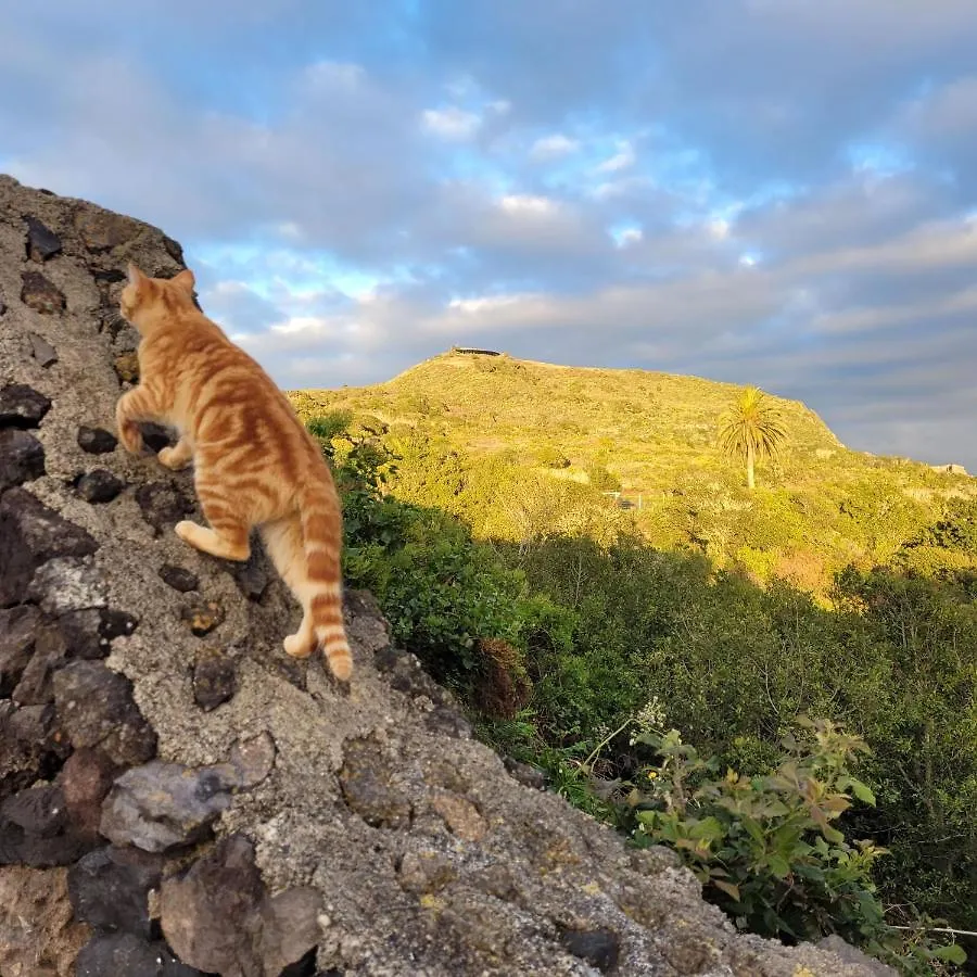 Finca El Lance El Tanque